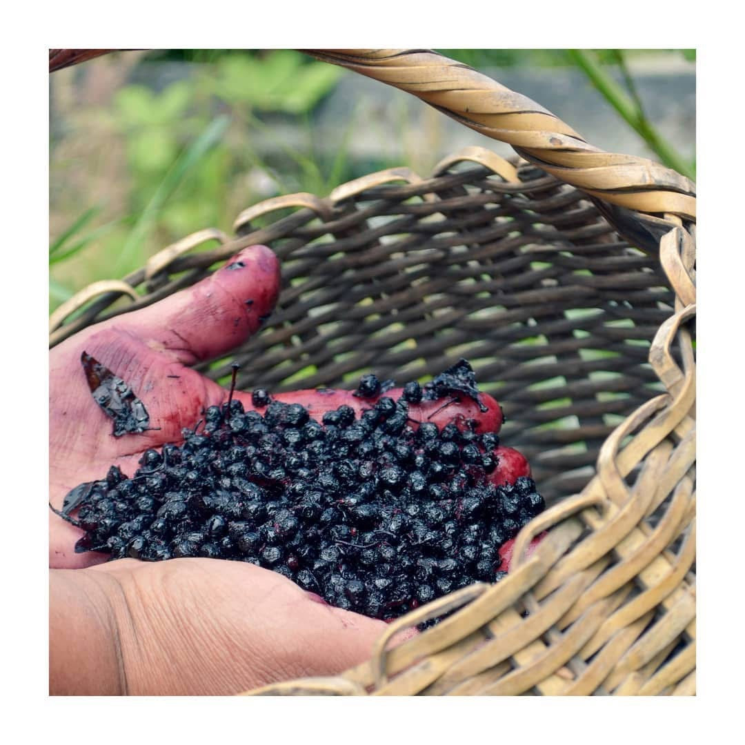 Café de Maqui 250gr Maqueo